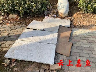 【创文我们在行动】发展大道上的“奇葩井盖”依旧“奇葩”