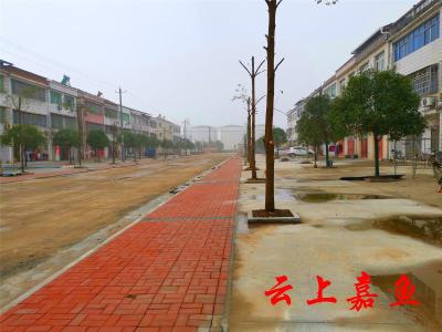 潘湾社区移民新村旧貌换新颜