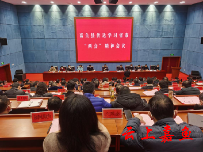 我县召开传达学习省市“两会”精神会议
