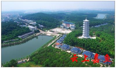 建起生态长廊 种出绿色财富——嘉鱼县推动国土绿化高质量发展走笔 
