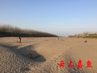 清水沟沙滩成了市民游玩打卡地