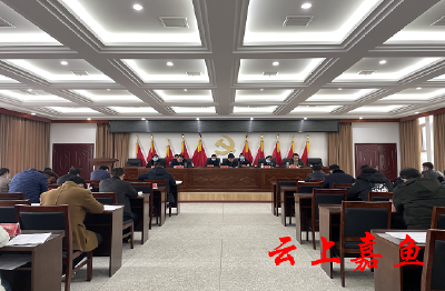 新街镇传达学习中央纪委全会精神