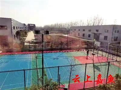全国文明村王家巷的“文明密码”