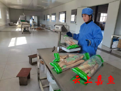 嘉野生态农业加工忙