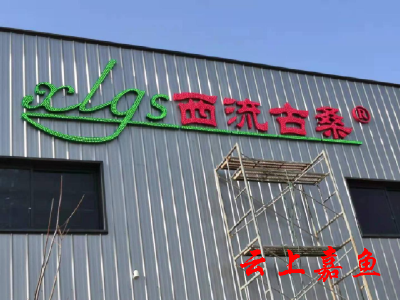 簰洲湾镇助推企业早投产