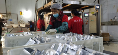 【牛年开门红】湖北嘉珍产销两旺牛气冲天开门红