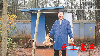 绿色养殖 鸡住“别墅” 