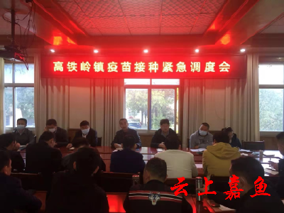 高铁岭镇以贴心的举措服务群众疫苗接种