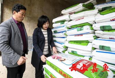 湖北嘉鱼：供销农资稳价保春耕 