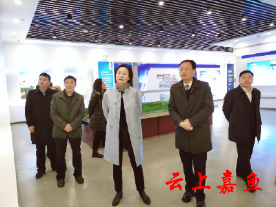 市领导来我县调研招商引资工作