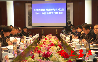 全省农村厕所粪污与生活污水治理工作咨询会在我县召开