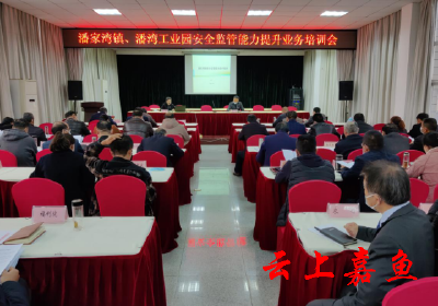 潘家湾镇开展安全监管能力提升业务培训会