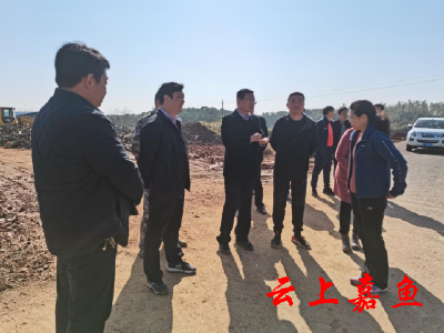 我县组织机关干部开展植树活动