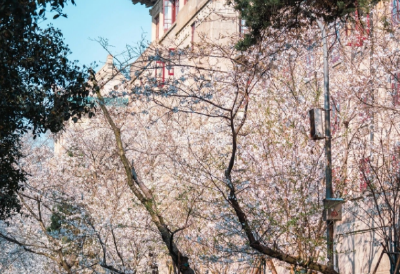 WH2021樱花号航班的旅客，请登机！