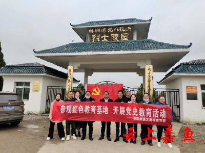 三湾村组织开展党史学习教育