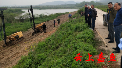 陆溪镇民堤民垸汛后险情整治工程有序推进