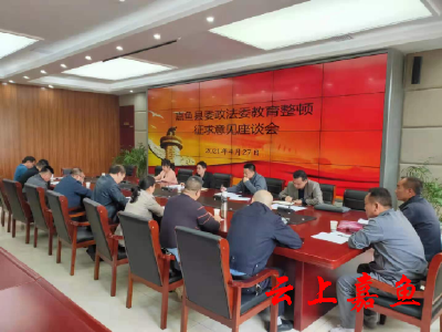 县委政法委机关召开教育整顿征求意见座谈会