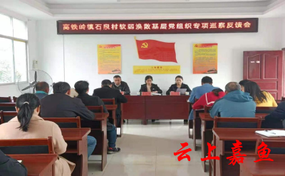 石泉村召开软弱涣散基层党组织专项巡察反馈会