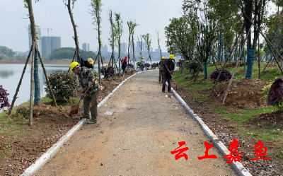 金虾湖大道路旁工人施工忙