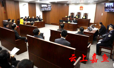 嘉鱼法官成功调解一起房屋买卖合同纠纷
