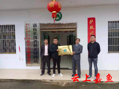 渡普镇林业站被授予全国标准化林业工作站