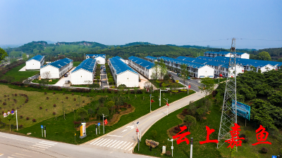 【红色南嘉记者行】党建引领起飞的翅膀