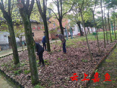 陆溪镇人居环境整治见成效