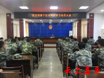 鱼岳镇组织基干民兵集中学习《中国共产党简史》