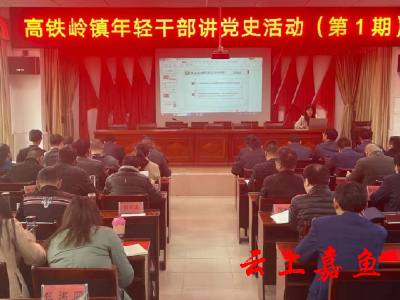 高铁岭镇开展党史学习教育暨年轻干部讲党课活动