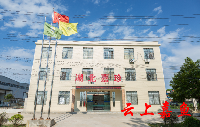 嘉珍莲藕打造湖北特色品牌