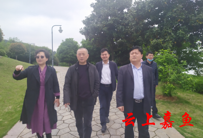 省、市政协领导来我县调研长江文化工作