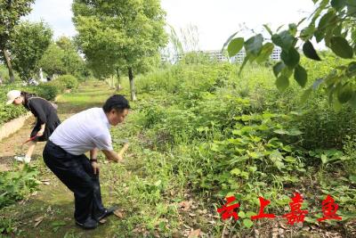 县退役军人事务局积极参与文明城市创建活动