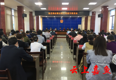 【创文我们在行动】鱼岳镇召开创建全国文明城市推进会