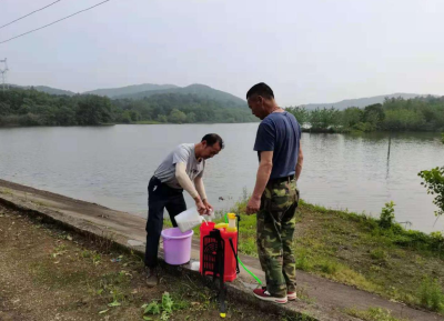 高铁岭镇组织对镇域水库进行白蚁防治