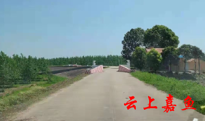 潘家湾镇开展防溺水安全巡查