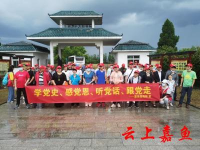 县残联组织开展党史学习主题教育