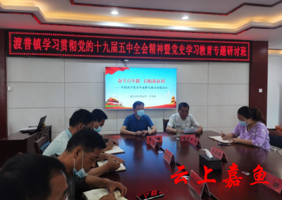 渡普镇举办党史学习教育专题研讨班