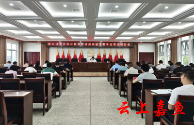 新街镇开展党史学习教育宣讲