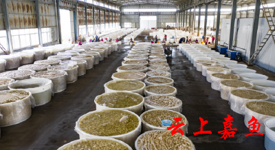 湖北嘉珍公司产品俏销全国各地
