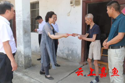 县领导赴官桥镇、新街镇和鱼岳镇开展建党100周年走访慰问活动