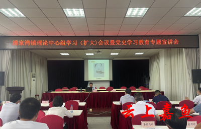 潘家湾镇召开党史学习教育专题宣讲会