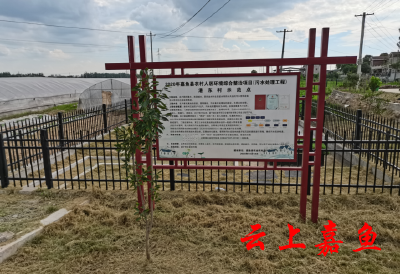 我县首批“四水共治”试点全部建成投入使用