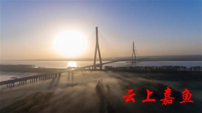 嘉鱼长江大桥获全球杰出工程奖