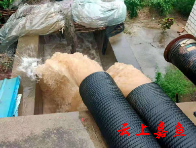 畈湖村紧抓排渍保收