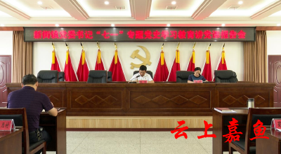 新街镇开展党委书记讲党课活动