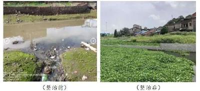 嘉鱼长江入河排污口溯源整治列入全省典型案例