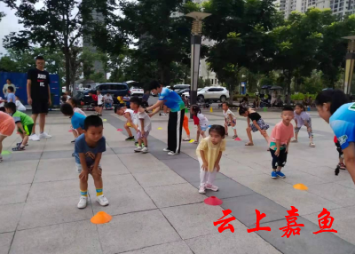 我县悄然兴起极速轮滑运动项目