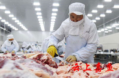 给全市进口冷链食品经营者的一封信 