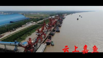 《沿着长江看嘉鱼》②｜江边绽放金盛兰，高铁岭镇以大项目推动大发展