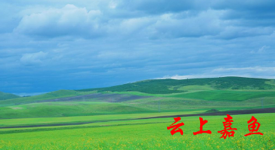 甘肃甘南探寻发展归宿：“我”记录雪域草原红色故事